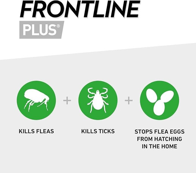 FRONTLINE Plus Flea & Tick Treatment for Cats & Ferrets – 6 Pipettes