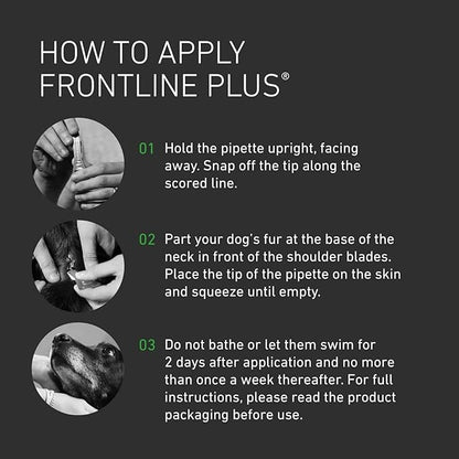 Frontline Plus for Dogs | Flea & Tick Treatment 6 pipettes
