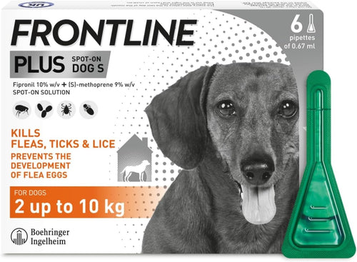 FRONTLINE Plus Flea & Tick Treatment for Small Dogs (2–10 kg) – 6 Pipettes